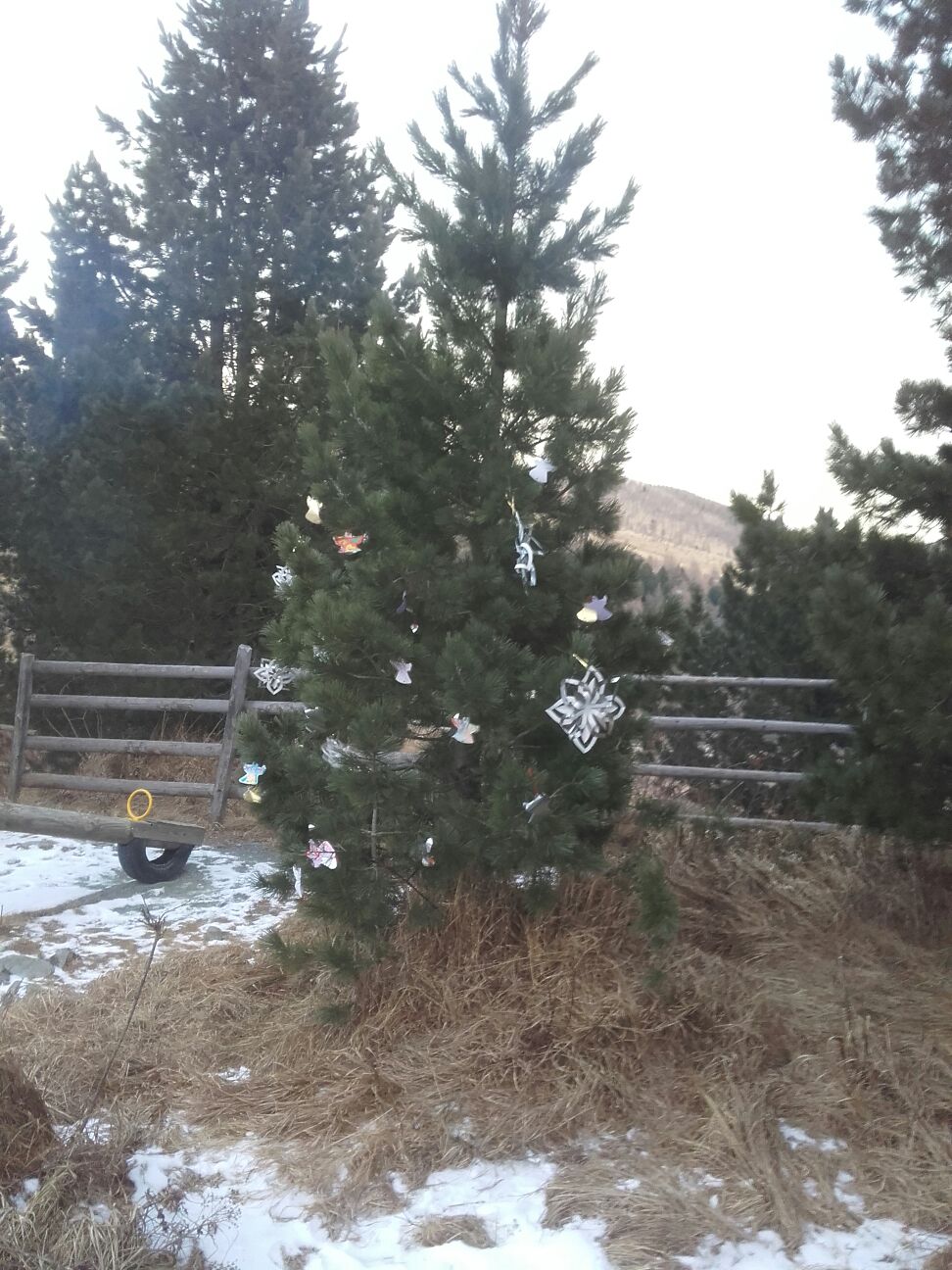 img-20161224-wa0013.jpg